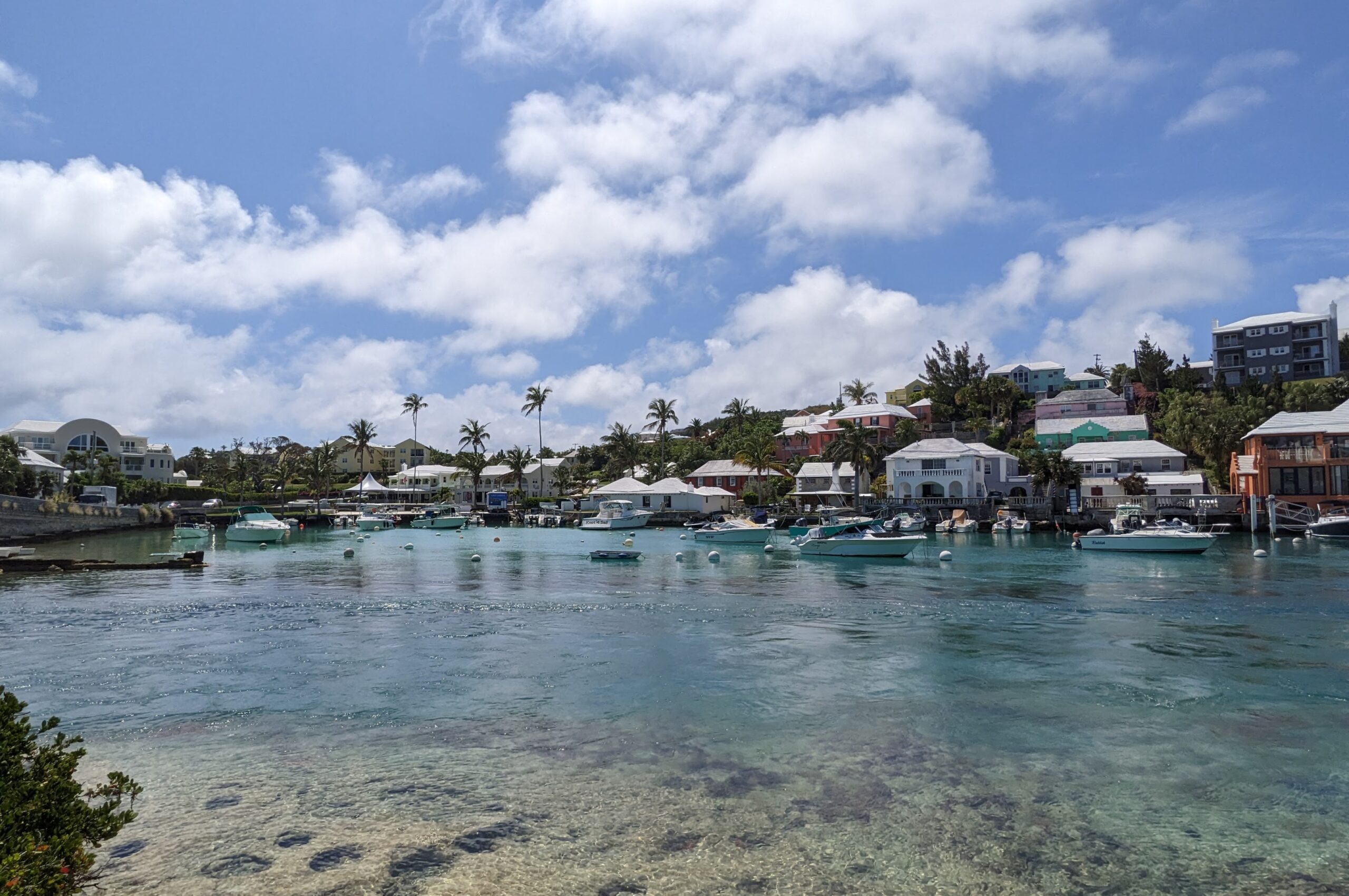 Walking Bermuda’s Paradise: A Journey Across the Railway Trail [Personal Gallery]