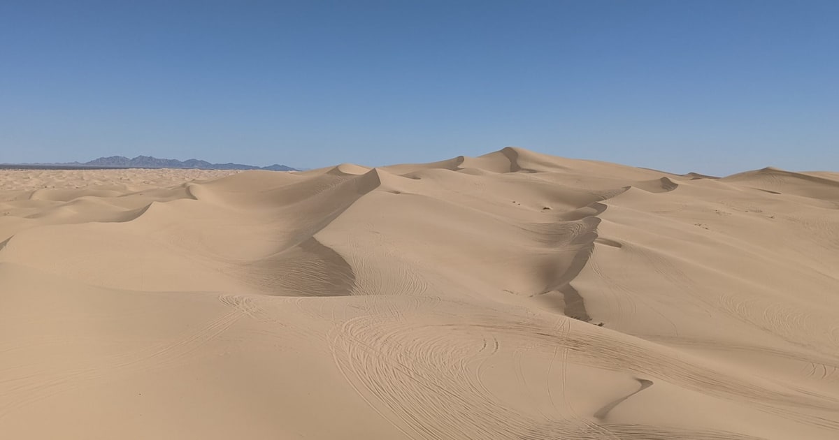 State of JavaScript 2025: TypeScript keeps winning